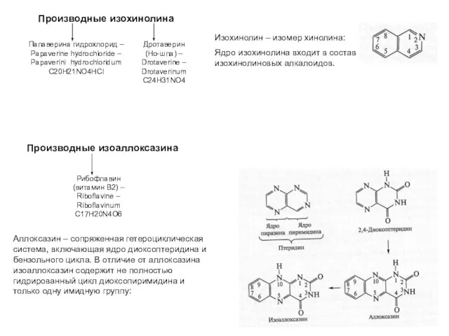 Изохинолин – изомер хинолина: Ядро изохинолина входит в состав изохинолиновых алкалоидов. Аллоксазин