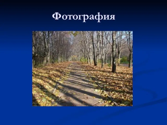 Фотография