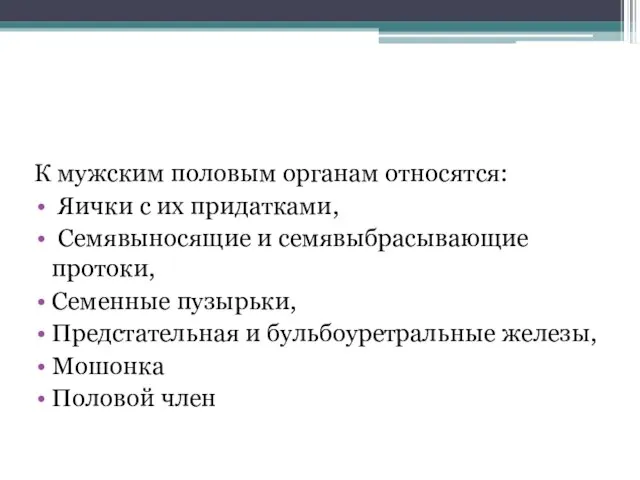 Мужские половые органы К мужским половым органам относятся: Яички с их придатками,