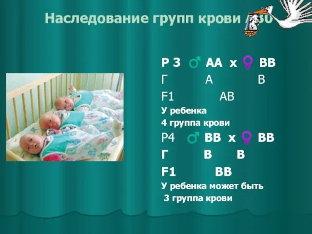 Наследование групп крови AB0 Р 3 ♂ АА x ♀ ВВ Г