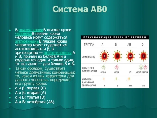 Система AB0 В плазме кровиВ плазме крови человекаВ плазме крови человека могут