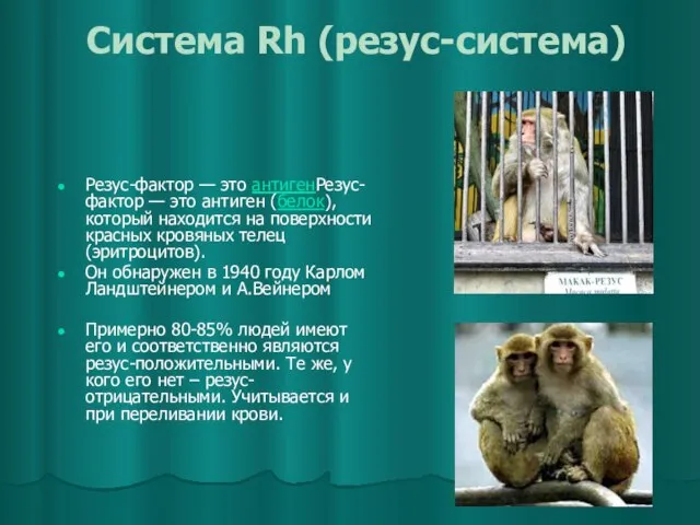 Система Rh (резус-система) Резус-фактор — это антигенРезус-фактор — это антиген (белок), который