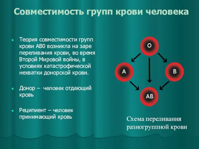 Совместимость групп крови человека Теория совместимости групп крови AB0 возникла на заре