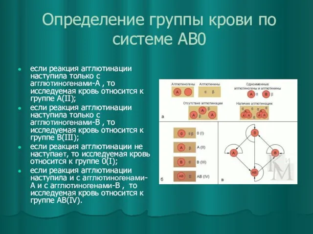 Определение группы крови по системе AB0 если реакция агглютинации наступила только с