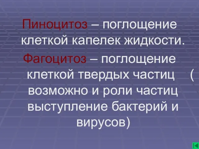 Пиноцитоз – поглощение клеткой капелек жидкости. Фагоцитоз – поглощение клеткой твердых частиц