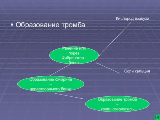 Образование тромба Ранение или порез Фибриноген - белок Кислород воздуха Соли кальция