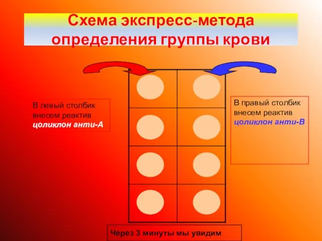 Схема экспресс-метода определения группы крови В левый столбик внесем реактив цоликлон анти-А