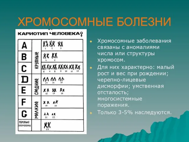 ХРОМОСОМНЫЕ БОЛЕЗНИ Хромосомные заболевания связаны с аномалиями числа или структуры хромосом. Для