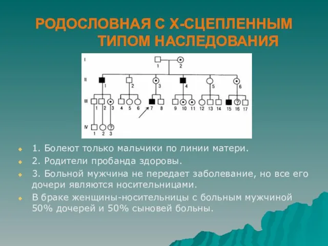 РОДОСЛОВНАЯ С Х-СЦЕПЛЕННЫМ ТИПОМ НАСЛЕДОВАНИЯ 1. Болеют только мальчики по линии матери.