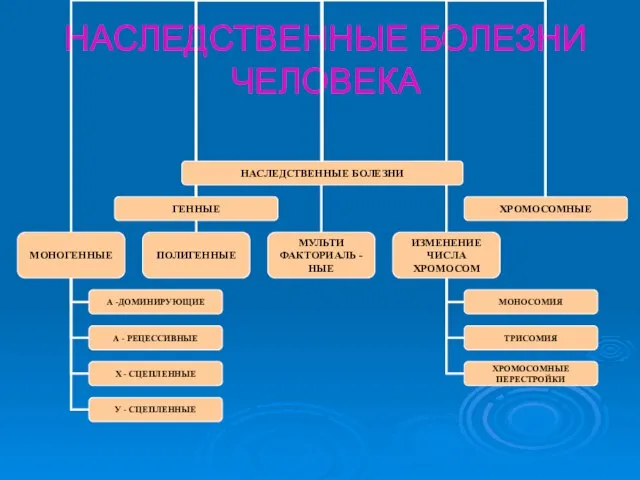 НАСЛЕДСТВЕННЫЕ БОЛЕЗНИ ЧЕЛОВЕКА