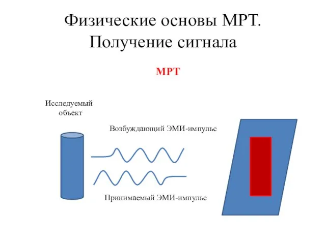 Физические основы МРТ. Получение сигнала МРТ Возбуждающий ЭМИ-импульс Принимаемый ЭМИ-импульс