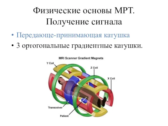 Физические основы МРТ. Получение сигнала Передающе-принимающая катушка 3 ортогональные градиентные катушки.