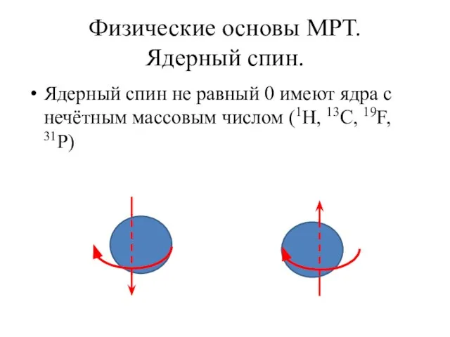 Физические основы МРТ. Ядерный спин. Ядерный спин не равный 0 имеют ядра