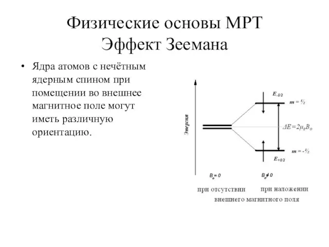 Физические основы МРТ Эффект Зеемана Ядра атомов с нечётным ядерным спином при