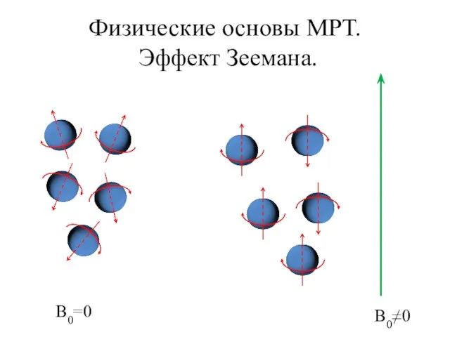 Физические основы МРТ. Эффект Зеемана. B0≠0 B0=0