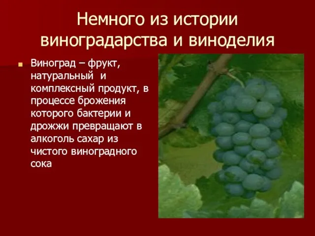 Немного из истории виноградарства и виноделия Виноград – фрукт, натуральный и комплексный