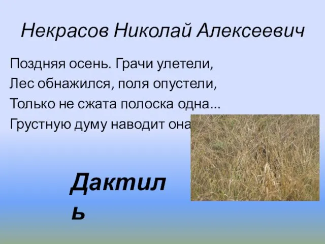 Некрасов Николай Алексеевич Поздняя осень. Грачи улетели, Лес обнажился, поля опустели, Только