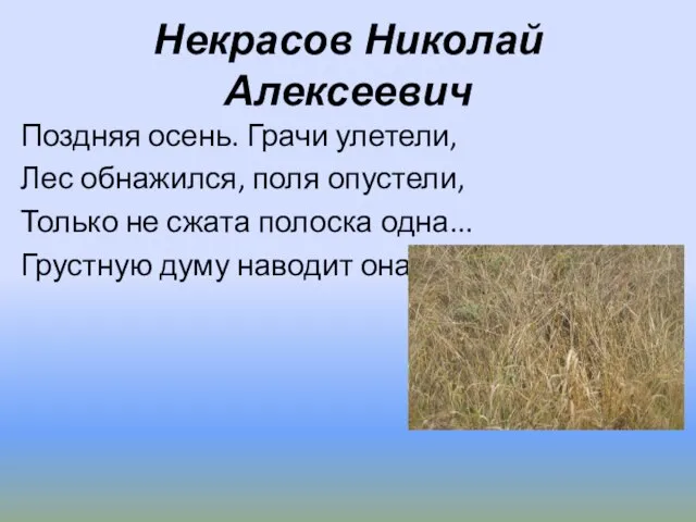 Некрасов Николай Алексеевич Поздняя осень. Грачи улетели, Лес обнажился, поля опустели, Только