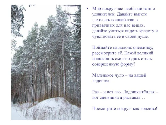 Мир вокруг нас необыкновенно удивителен. Давайте вместе находить волшебство в привычных для