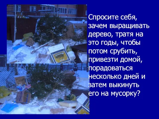 Спросите себя, зачем выращивать дерево, тратя на это годы, чтобы потом срубить,