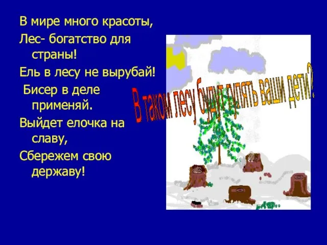 В мире много красоты, Лес- богатство для страны! Ель в лесу не