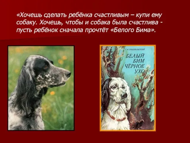 «Хочешь сделать ребёнка счастливым – купи ему собаку. Хочешь, чтобы и собака