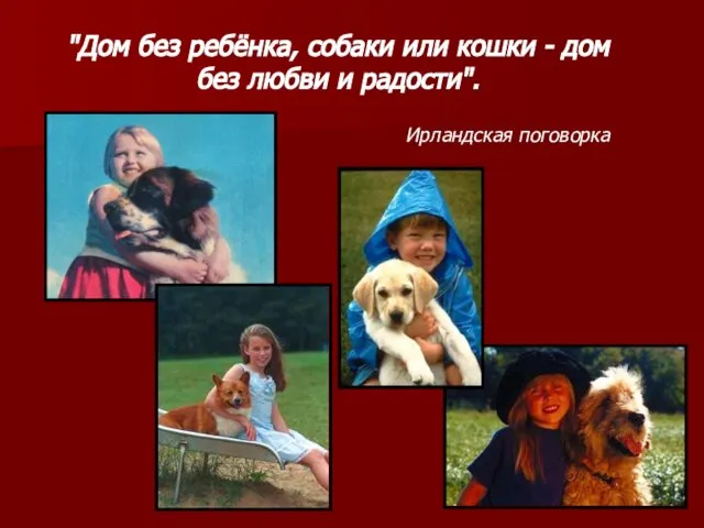 "Дом без ребёнка, собаки или кошки - дом без любви и радости". Ирландская поговорка