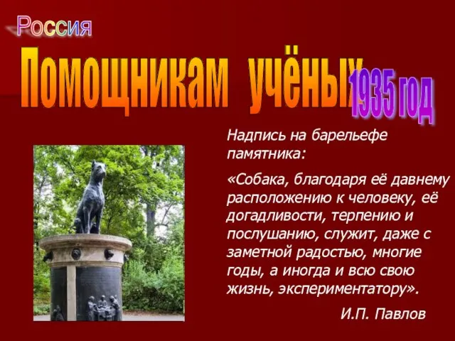 Надпись на барельефе памятника: «Собака, благодаря её давнему расположению к человеку, её