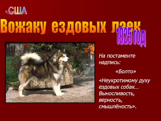 Вожаку ездовых лаек 1925 год На постаменте надпись: «Болто» «Неукротимому духу ездовых