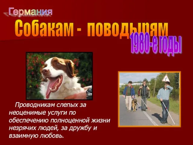 Собакам - поводырям 1980-е годы Проводникам слепых за неоценимые услуги по обеспечению