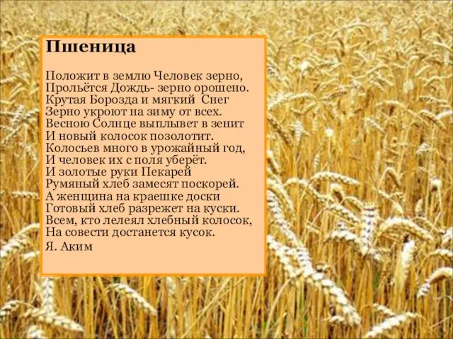 Пшеница Положит в землю Человек зерно, Прольётся Дождь- зерно орошено. Крутая Борозда