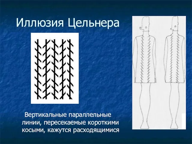 Иллюзия Цельнера Вертикальные параллельные линии, пересекаемые короткими косыми, кажутся расходящимися