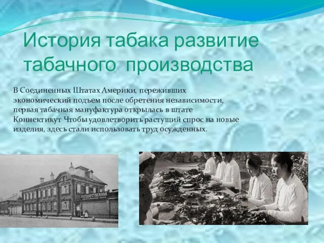 История табака развитие табачного производства В Соединенных Штатах Америки, переживших экономический подъем