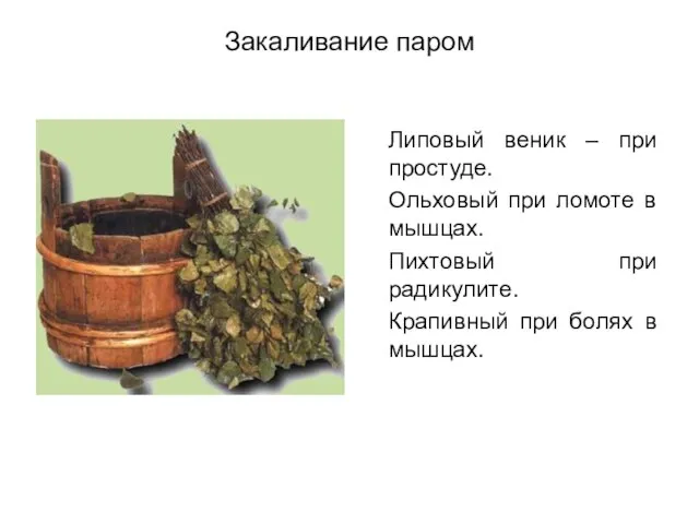 Закаливание паром Липовый веник – при простуде. Ольховый при ломоте в мышцах.