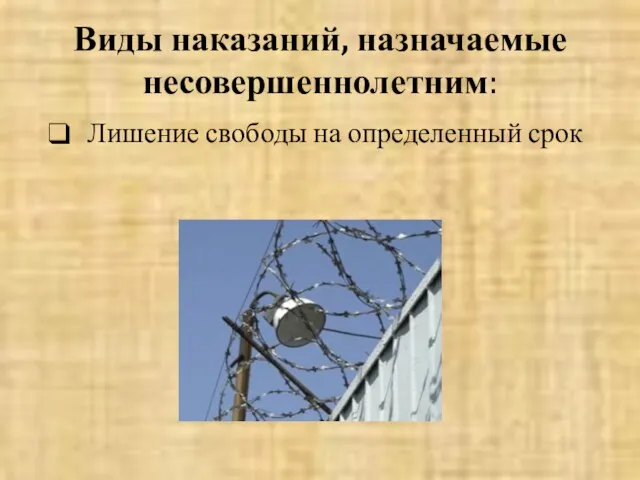 Виды наказаний, назначаемые несовершеннолетним: Лишение свободы на определенный срок