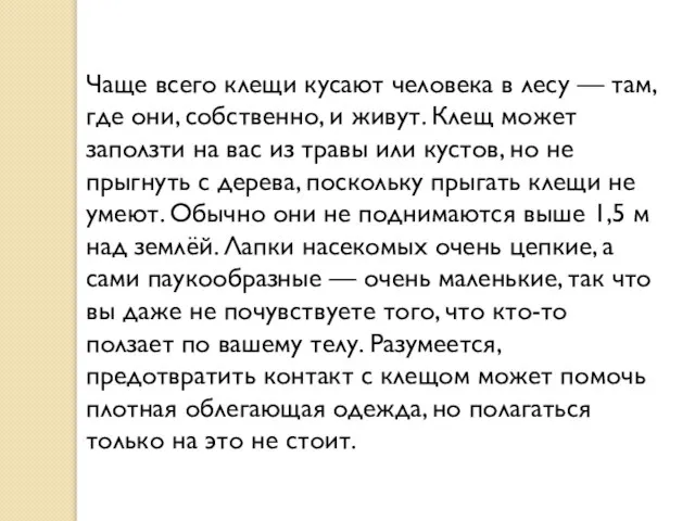 Чаще всего клещи кусают человека в лесу — там, где они, собственно,