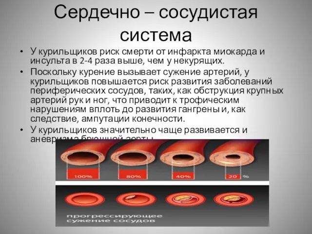 Сердечно – сосудистая система У курильщиков риск смерти от инфаркта миокарда и