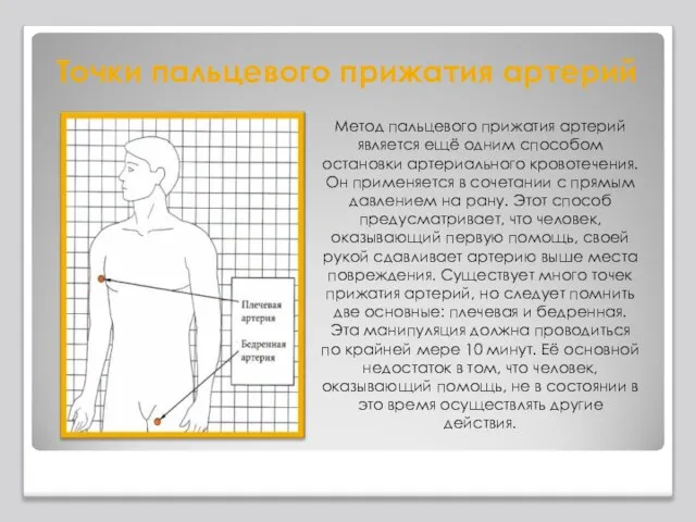 Точки пальцевого прижатия артерий Метод пальцевого прижатия артерий является ещё одним способом