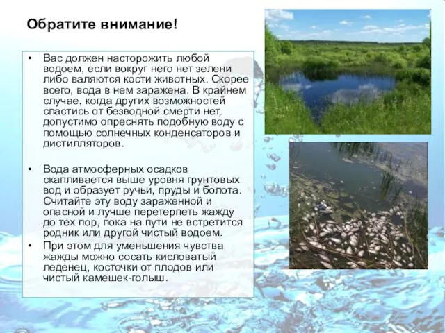 Обратите внимание! Вас должен насторожить любой водоем, если вокруг него нет зелени