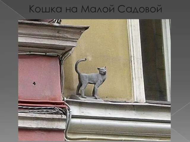 Кошка на Малой Садовой