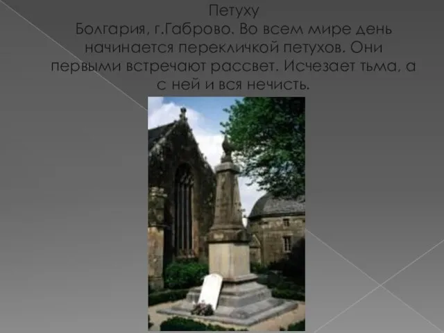 Петуху Болгария, г.Габрово. Во всем мире день начинается перекличкой петухов. Они первыми