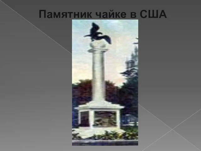 Памятник чайке в США