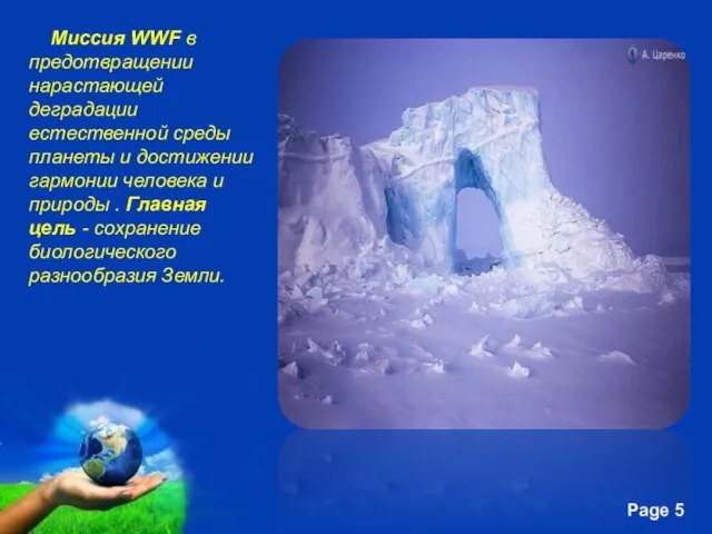 Миссия WWF в предотвращении нарастающей деградации естественной среды планеты и достижении гармонии