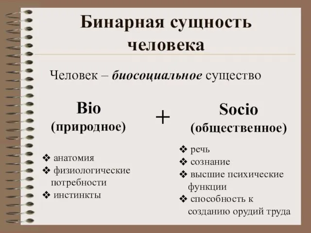 Бинарная сущность человека Bio (природное) Socio (общественное) речь сознание высшие психические функции