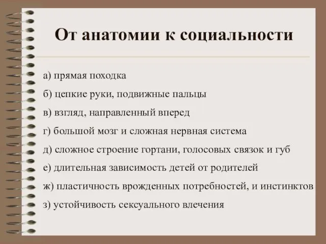 От анатомии к социальности а) прямая походка б) цепкие руки, подвижные пальцы