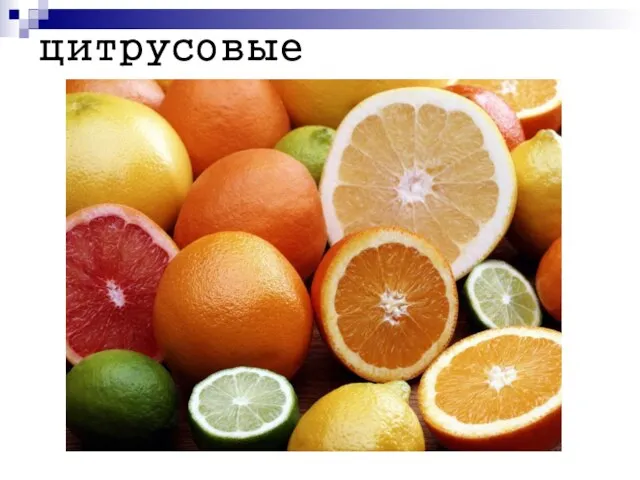 цитрусовые