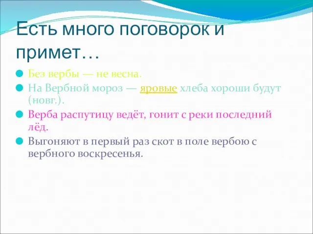 Есть много поговорок и примет… Без вербы — не весна. На Вербной