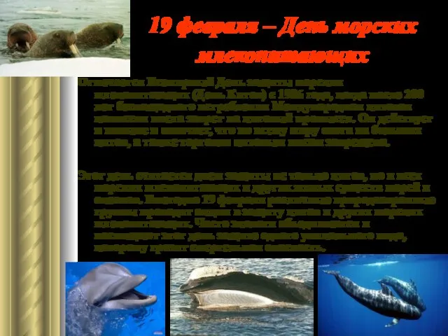 19 февраля – День морских млекопитающих Отмечается Всемирный День защиты морских млекопитающих