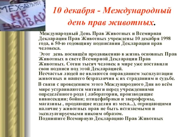 10 декабря - Международный день прав животных. Международный День Прав Животных и