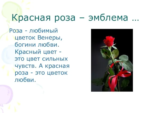 Красная роза – эмблема … Роза - любимый цветок Венеры, богини любви.